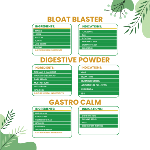 Stomach & Intestine Kit - Image 2